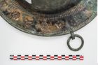 Foto von Bronzebreitrandschale (NHMW-PRAE-024520)